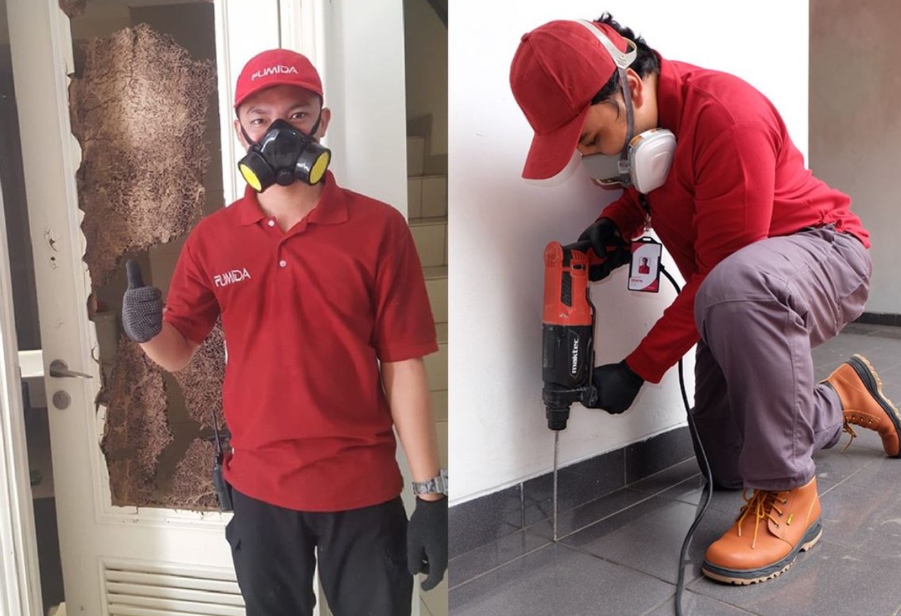 usir rayap menggunakan jasa anti rayap pasca konstruksi